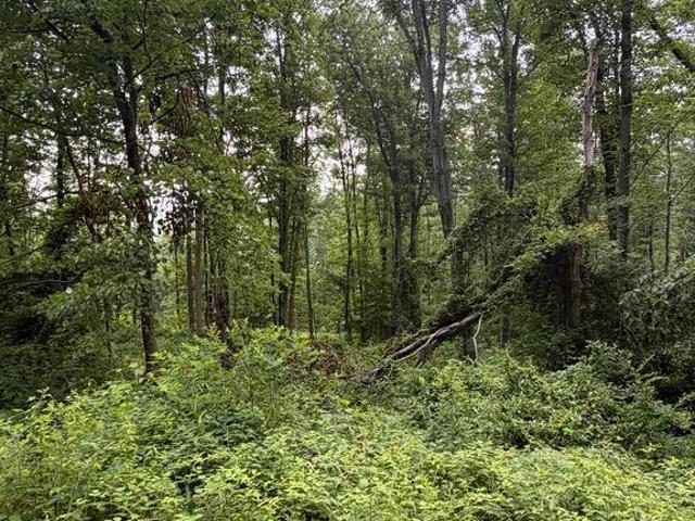 Land for sale in Pennsylvania