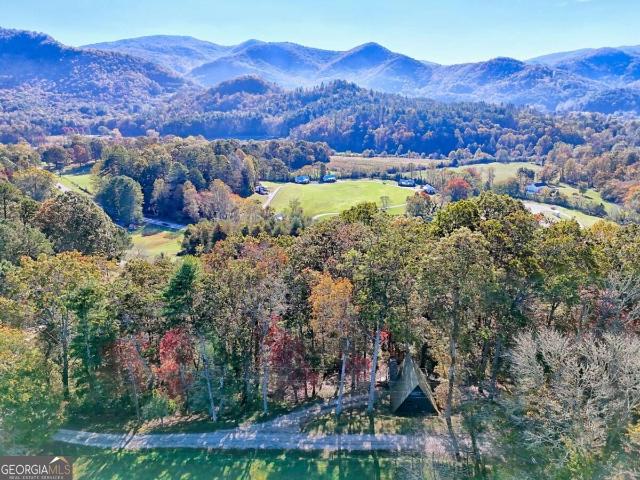 Land for sale in Dillard, Rabun County