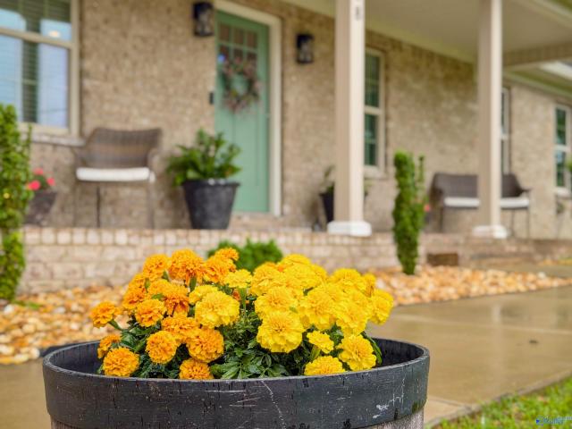 House for sale in Moulton, Alabama
