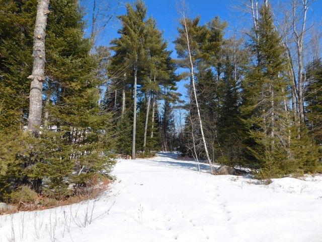 Land for sale in Greenbush, Maine