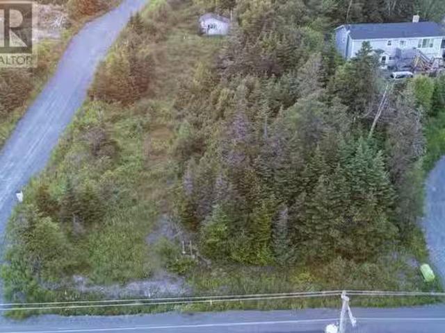 House for sale in Bauline, Newfoundland And Labrador
