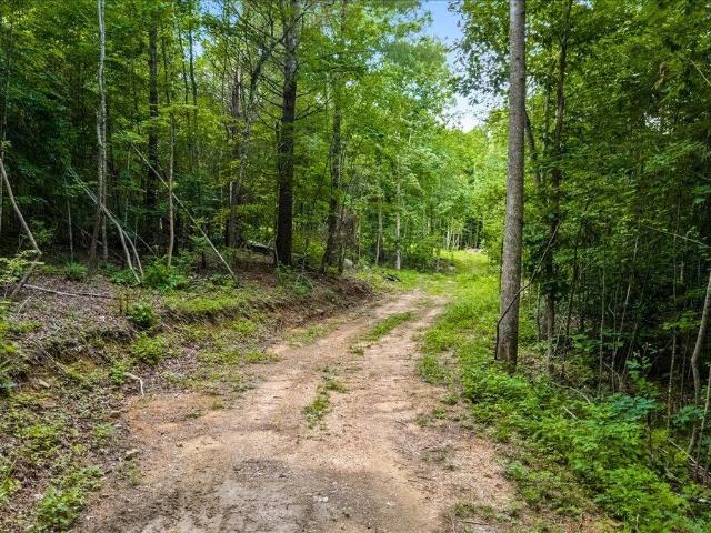 Land for sale in Tennessee