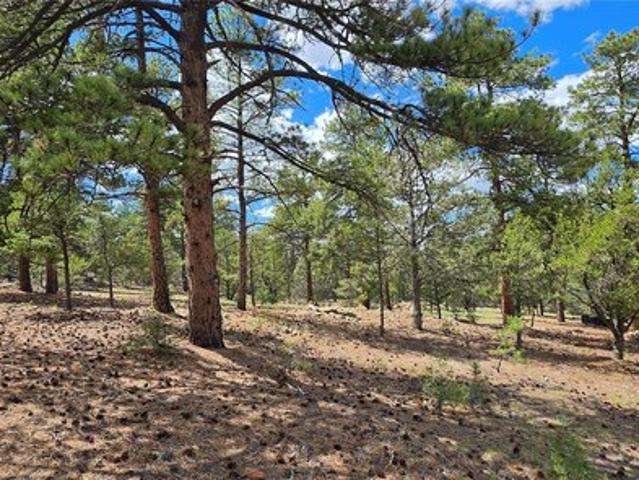 Land for sale in Cotopaxi, Colorado