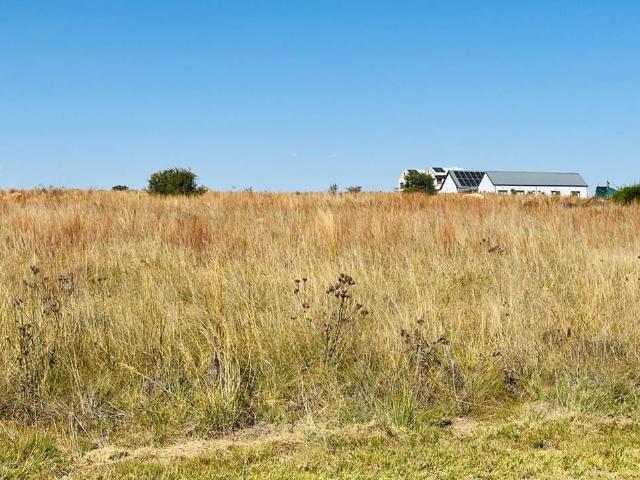 Land for sale in Koppies, Free State