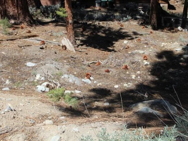 Land for sale in June Lake, California