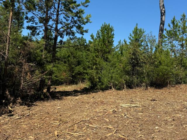 Land for sale in Greenback, East Tennessee
