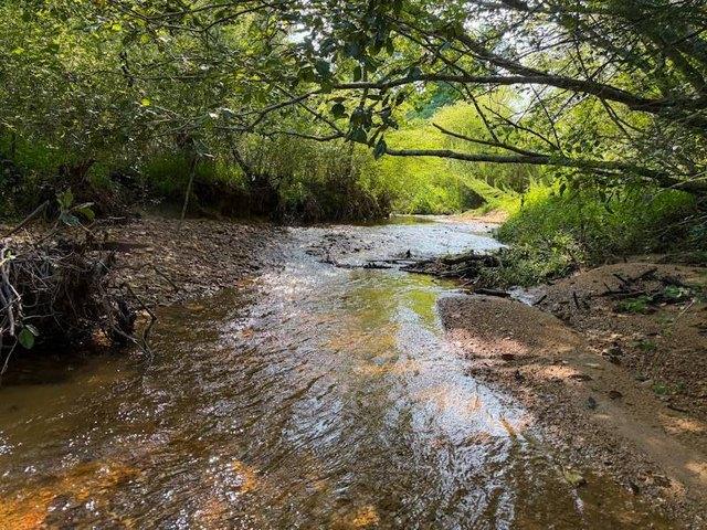 Land for sale in Hamilton, Alabama