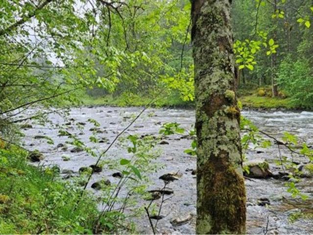 Land for sale in Oregonia
