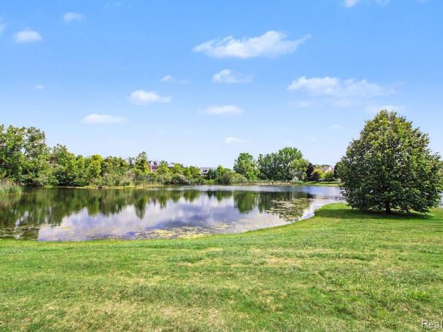 Condo for sale in Ortonville, Michigan