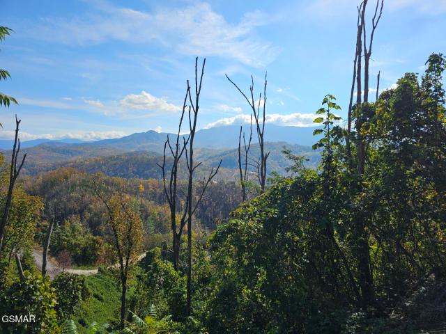 Land for sale in Tennessee