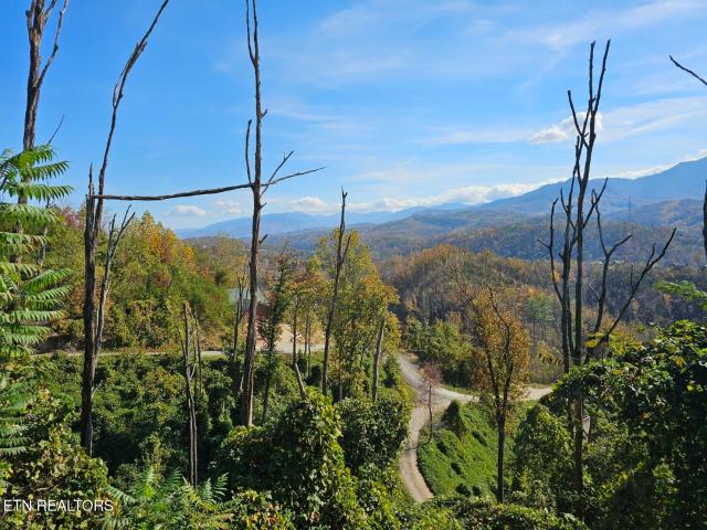 Land for sale in Tennessee