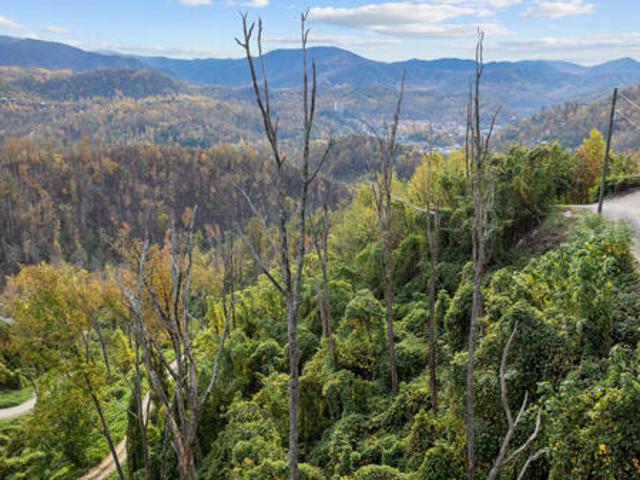 Land for sale in Gatlinburg, East Tennessee
