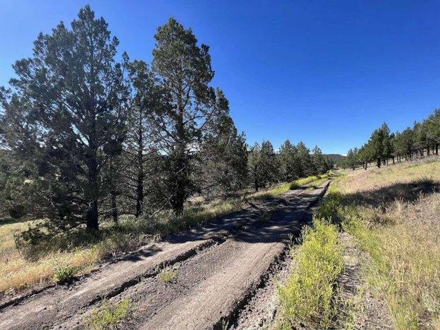 Land for sale in Modoc, California
