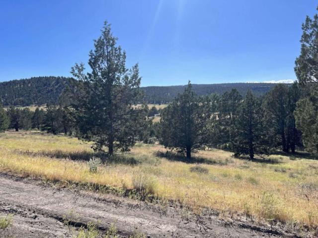 Land for sale in Modoc, California