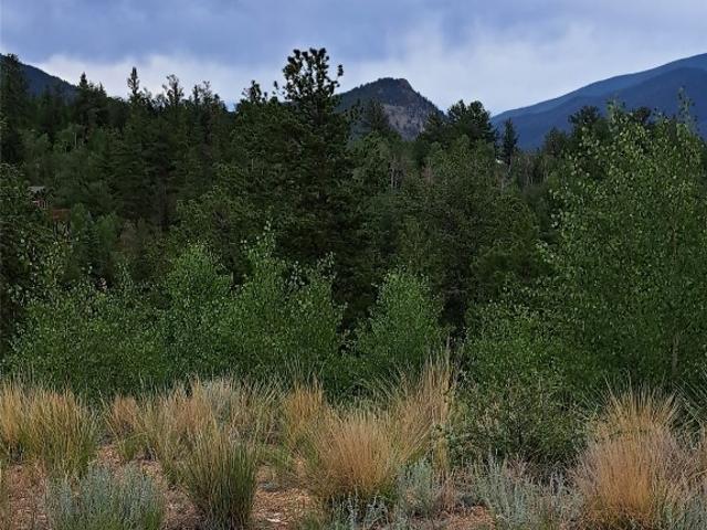 Land for sale in Colorado