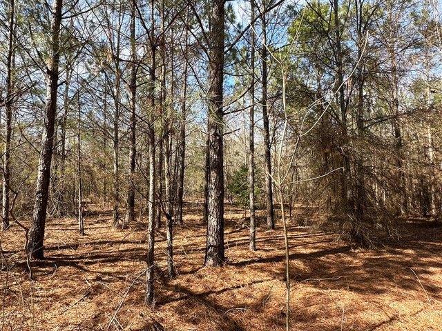Land for sale in Keysville, Georgia