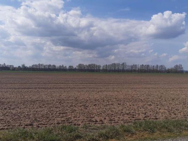 Erdgeschosswohnung kaufen in Bad Schmiedeberg, Sachsen-Anhalt