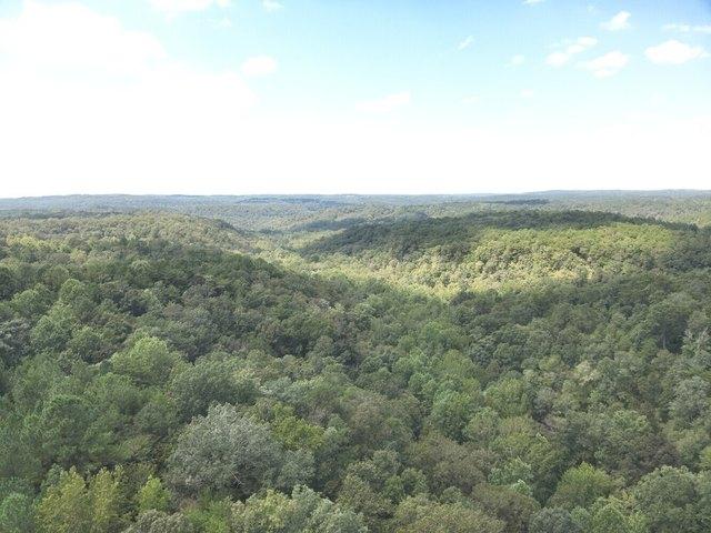 Land for sale in Brookwood, Alabama