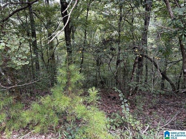 Land for sale in Brookwood, Alabama
