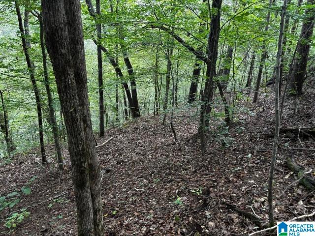 Land for sale in Brookwood, Alabama