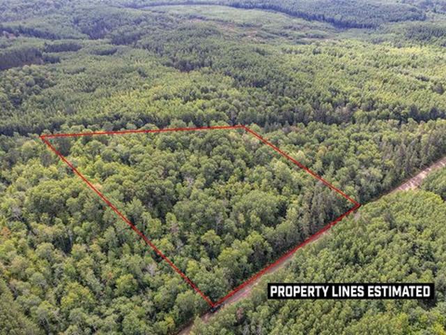 Land for sale in Iron River, Wisconsin