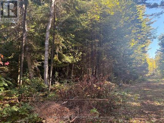 Land for sale in McDougall Township, Central Ontario
