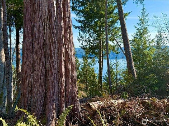 Land for sale in Lilliwaup, Washington