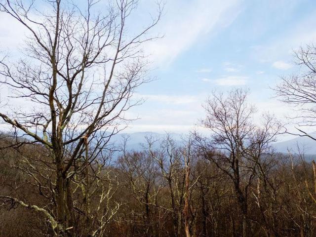 Land for sale in Virginia