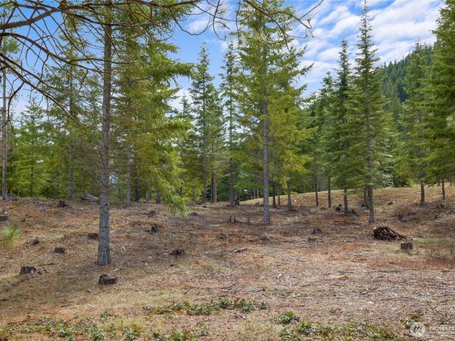 Land for sale in Cle Elum