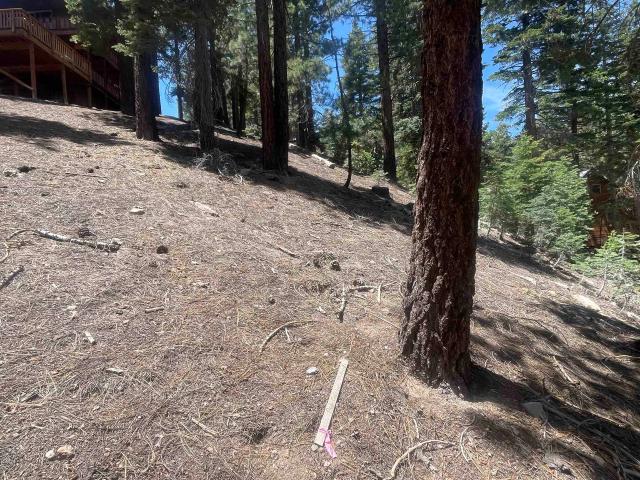 Land for sale in Mammoth Lakes, California