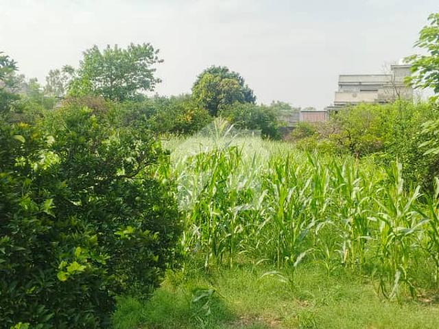 Land for sale in Haripur, North West Frontier Province
