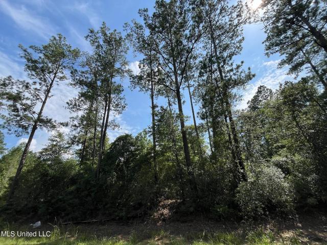 Land for sale in Leakesville, Mississippi