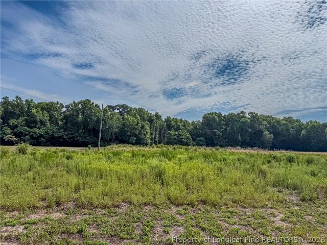 House for sale in Red Springs, North Carolina