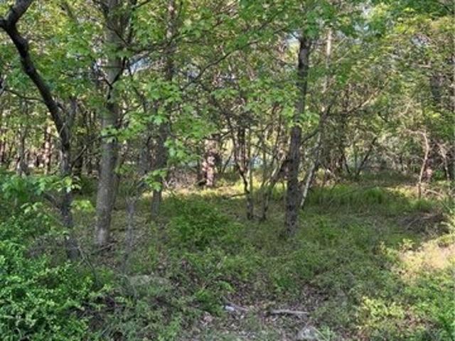 Land for sale in Carbon, Pennsylvania