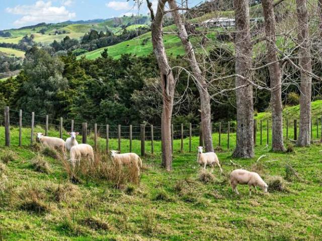 House for sale in Paparoa, Northland