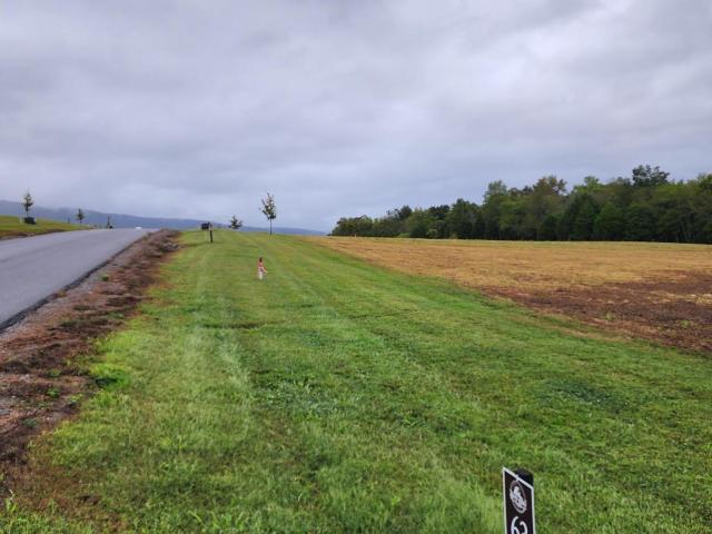Land for sale in Tennessee