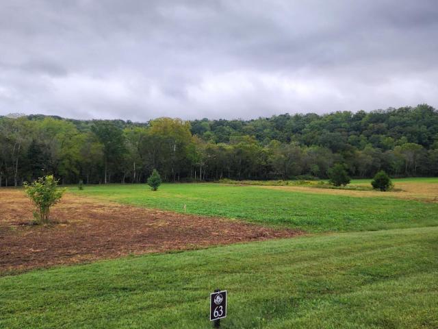 Land for sale in Tennessee