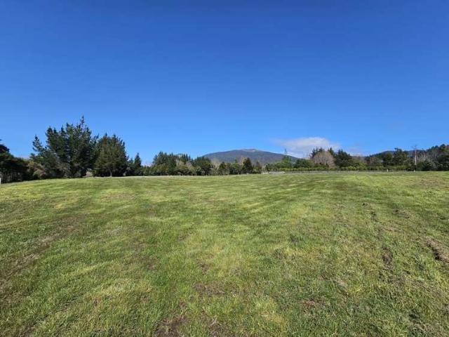 Land for sale in Taupahi, Waikato