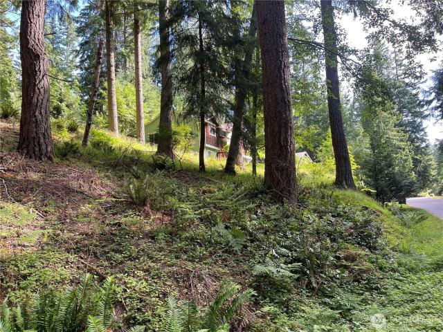 Land for sale in Bellingham Land for sale in Bellingham