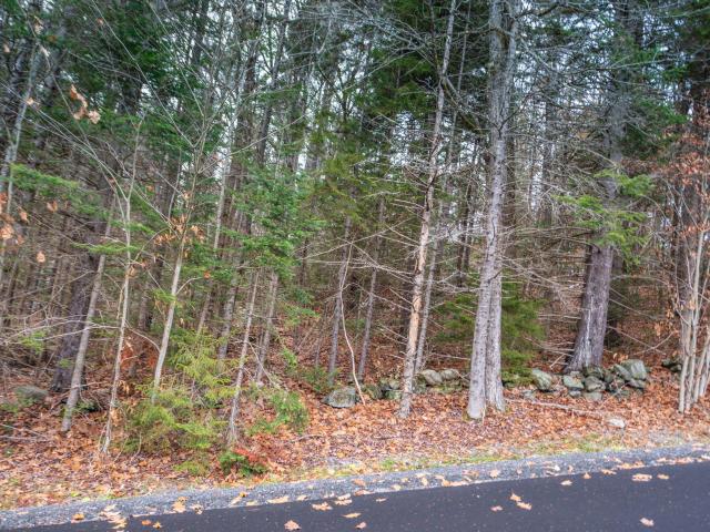 Property for sale in West Dover, Vermont
