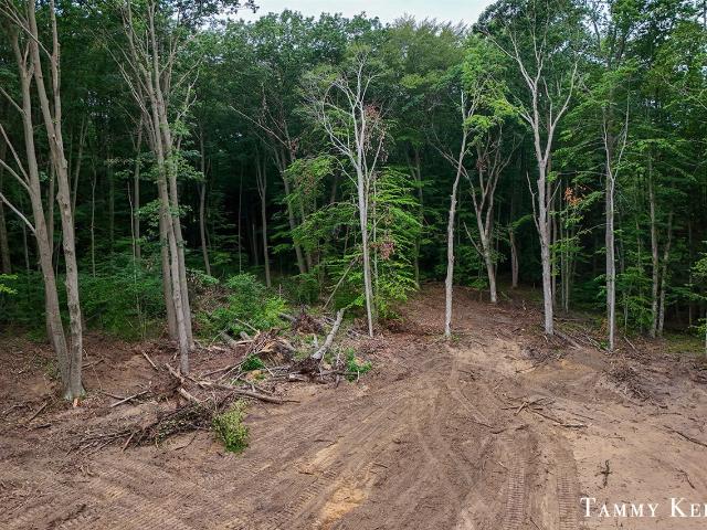 Land for sale in Michigan