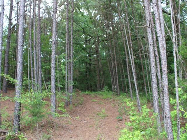 Land for sale in Tate, Mississippi