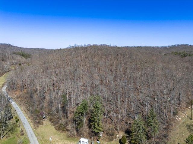 Land for sale in Fort Gay, West Virginia