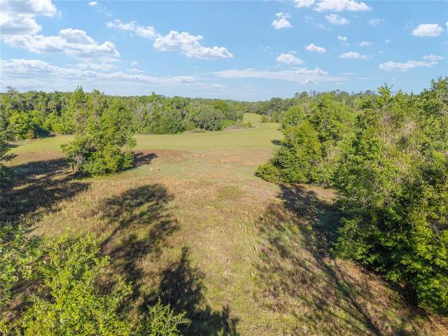 Land for sale in Reddick, Florida