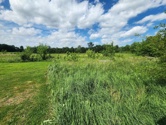 Land for sale in Wabash, Illinois