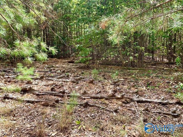 Land for sale in Gurley, Madison County