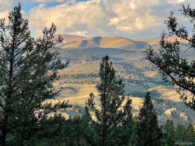 Land for sale in Twin Lakes, Colorado