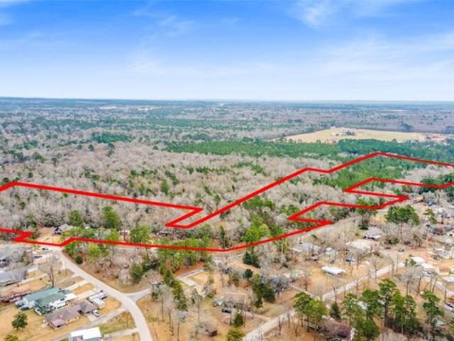 Land for sale in Polk, Texas