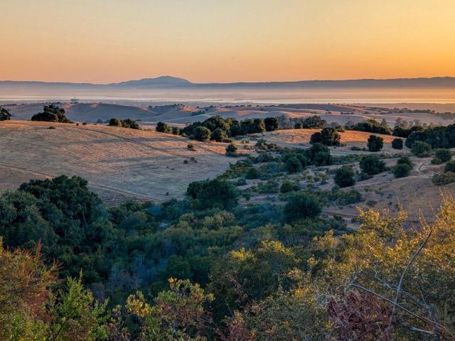 House for sale in Palo Alto, California