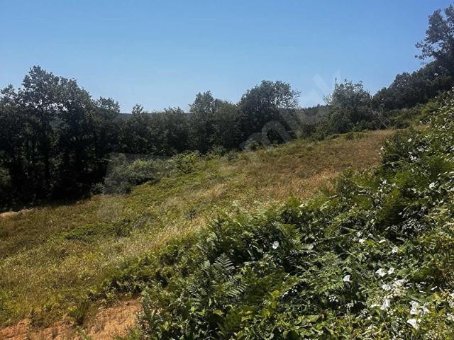 Şile, İstanbul içerisinde satılık Arsa
